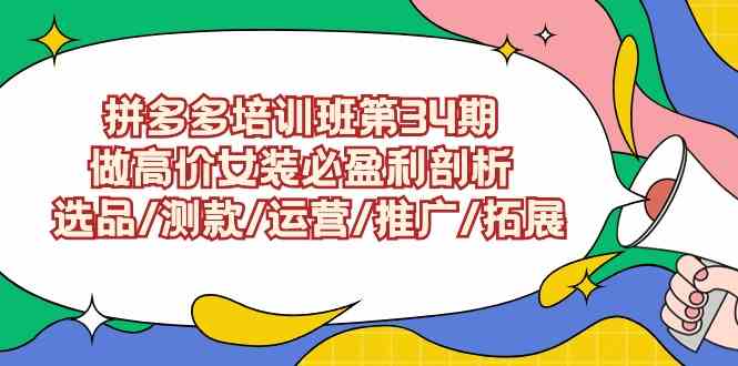 （9333期）拼多多培训班第34期：做高价女装必盈利剖析  选品/测款/运营/推广/拓展-知新学吧