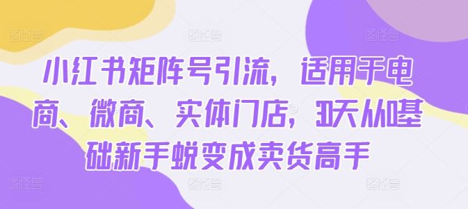小红书矩阵号引流，适用于电商、微商、实体门店，30天从0基础新手蜕变成卖货高手-知新学吧