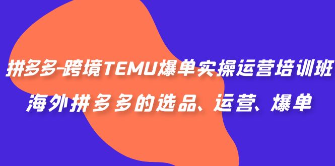拼多多-跨境TEMU爆单实操运营培训班，海外拼多多的选品、运营、爆单-知新学吧