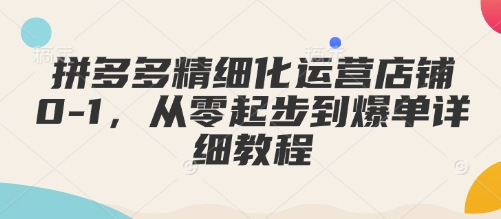 拼多多精细化运营店铺0-1，从零起步到爆单详细教程-知新学吧