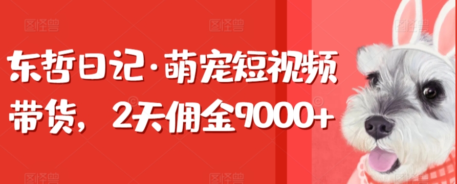 东哲日记·萌宠短视频带货，2天佣金9000+-知新学吧