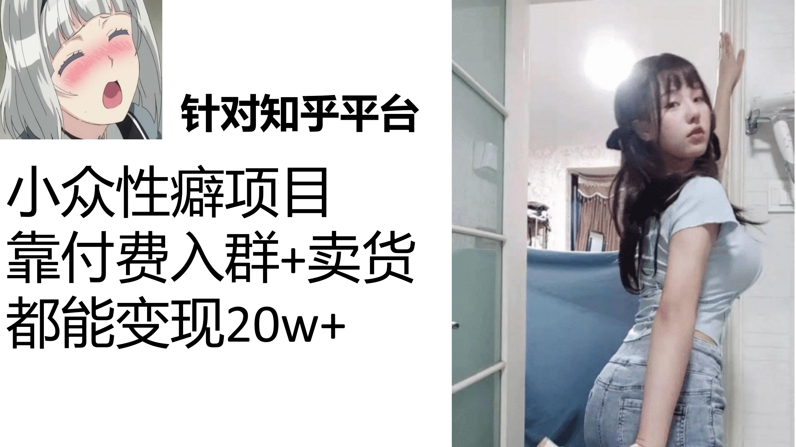 知乎小众性癖项目，Lsp的钱才是最好赚的，付费建群+卖货变现20w-知新学吧