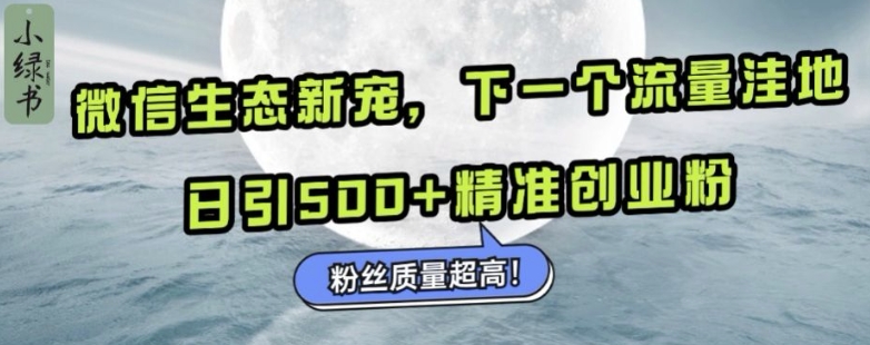 微信生态新宠小绿书：下一个流量洼地，日引500+精准创业粉，粉丝质量超高-知新学吧
