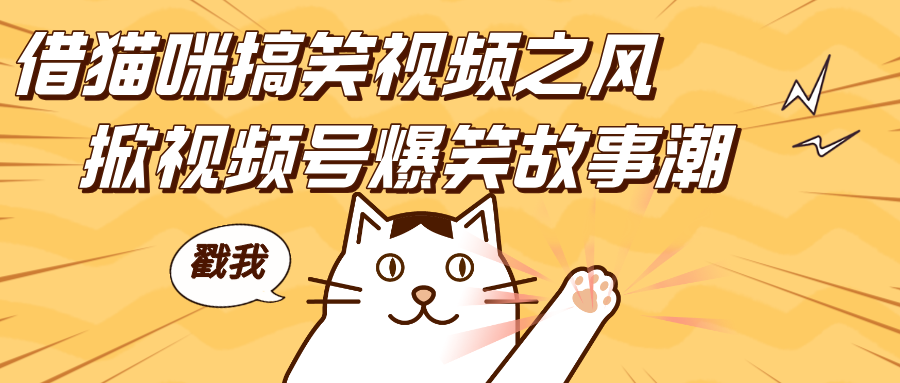 借猫咪搞笑视频之风，掀视频号爆笑故事潮，轻松日赚四位数，开启无门槛赚钱新体验！-知新学吧