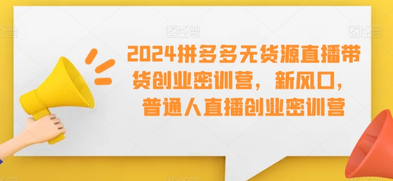 2024拼多多无货源直播带货创业密训营，新风口，普通人直播创业密训营-知新学吧