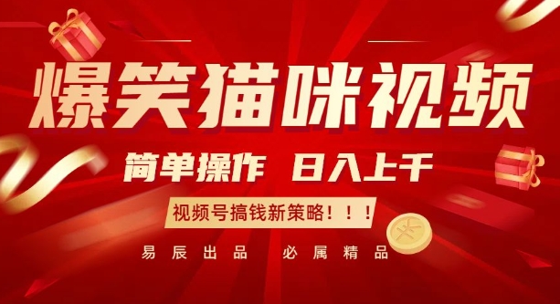爆笑猫咪视频：简单操作，日入过K，视频号搞钱新策略【揭秘】-知新学吧