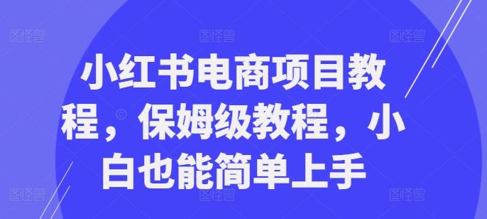 小红书电商项目教程，保姆级教程，小白也能简单上手-知新学吧