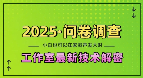 2025问卷调查最新工作室技术解密：一个人在家也可以闷声发大财，小白一天2张，可矩阵放大【揭秘】-知新学吧