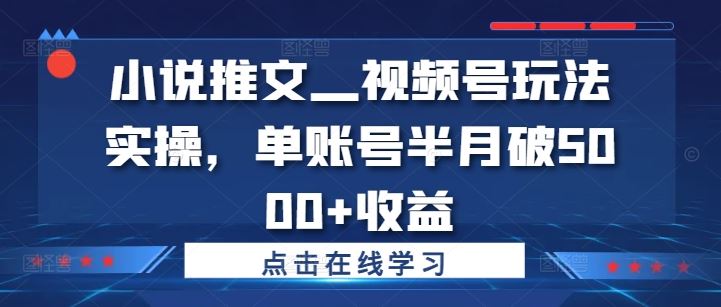 小说推文—视频号玩法实操，单账号半月破5000+收益-知新学吧