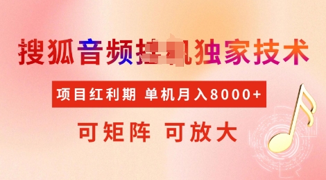 全网首发搜狐音频挂JI独家技术，项目红利期，可矩阵可放大，稳定月入8k【揭秘】-知新学吧