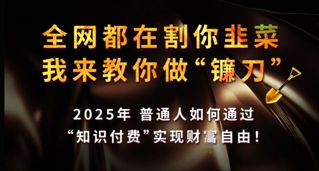 全网都在割你韭菜，我来教你做镰刀，2025年普通人如何通过 知识付费 实现财F自由【揭秘】-知新学吧