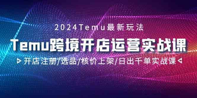 2024Temu跨境开店运营实战课，开店注册/选品/核价上架/日出千单实战课-知新学吧