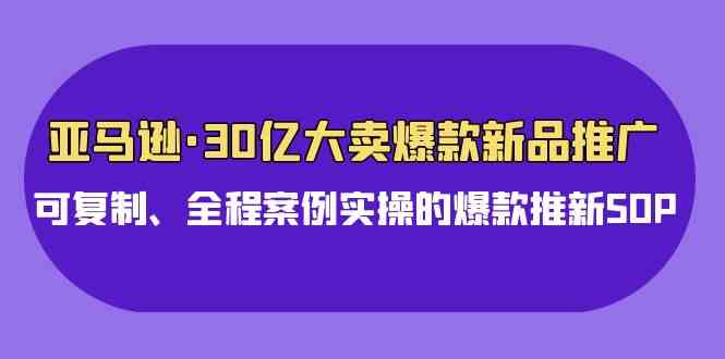 （9944期）亚马逊30亿·大卖爆款新品推广，可复制、全程案例实操的爆款推新SOP-知新学吧