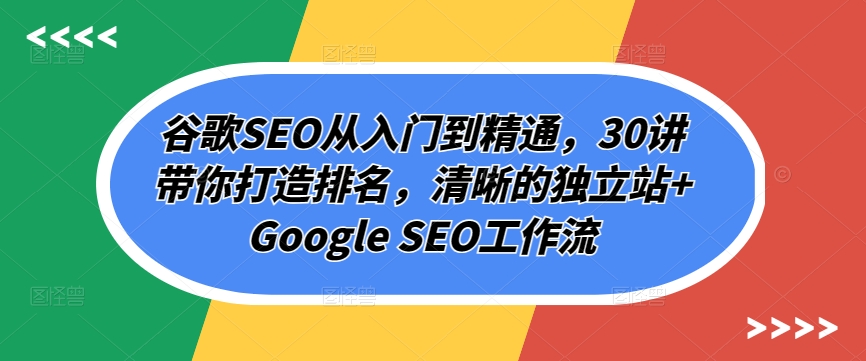 谷歌SEO从入门到精通，30讲带你打造排名，清晰的独立站+Google SEO工作流-知新学吧