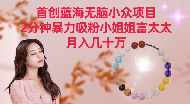 首创蓝海无脑小众项目，2分钟暴力吸粉小姐姐富太太，月入几十万-知新学吧