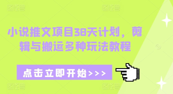 小说推文项目38天计划，剪辑与搬运多种玩法教程-知新学吧