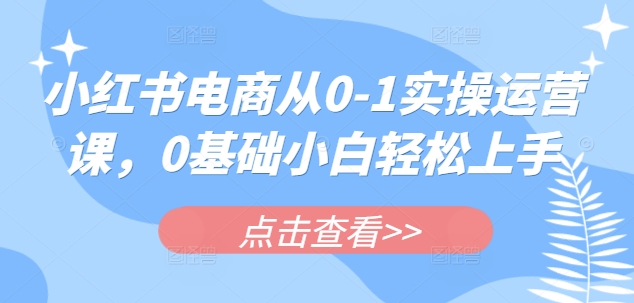小红书电商从0-1实操运营课，0基础小白轻松上手-知新学吧