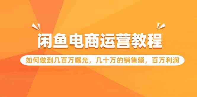 （9560期）闲鱼电商运营教程：如何做到几百万曝光，几十万的销售额，百万利润-知新学吧