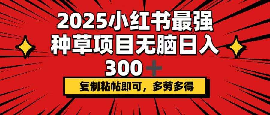 2025小红书最强种草项目，无脑日入300+，复制粘帖即可，多劳多得-知新学吧