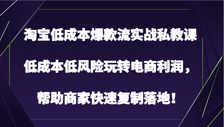 淘宝低成本爆款流实战私教课，低成本低风险玩转电商利润，帮助商家快速复制落地！-知新学吧