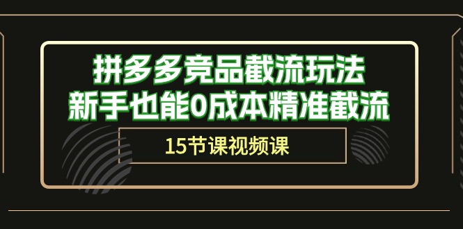 （10301期）拼多多竞品截流玩法，新手也能0成本精准截流（15节课）-知新学吧
