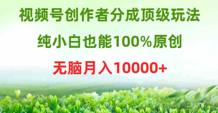 （9608期）视频号创作者分成顶级玩法，纯小白也能100%原创，无脑月入10000+-知新学吧