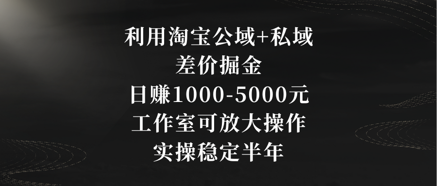 利用淘宝公域+私域差价掘金，日赚1000-5000元，工作室可放大操作，实操…-知新学吧