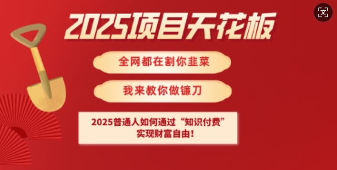 2025项目天花板普通人如何通过知识付费，实现财F自由【揭秘】-知新学吧